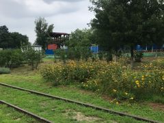 -永定河休闲森林公园