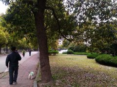 -同济大学(沪西校区)
