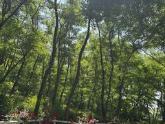 -大连铭湖国际观光牧场