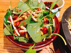 版纳拌折耳根-云海肴云南菜·蒸汽石锅鱼(北京良乡华冠店)