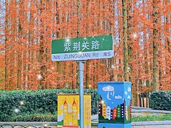 -八大关景区