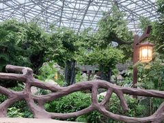 -瑞阁温泉酒店温泉中心