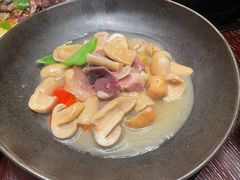 -滇野云南野生菌餐厅(陕西南路店)