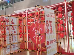 -合景·悠方(成都店)
