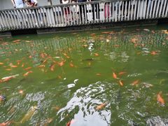 -杭州动物园