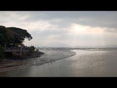 -福田红树林生态公园