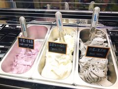 -歎雪糕低糖低脂Gelato冰淇淋
