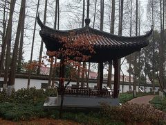 -瀛洲公园