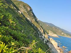 -西涌国际滨海旅游区