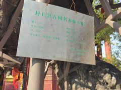 -宋太祖黄袍加身处文管所