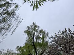 -济南大明湖景区