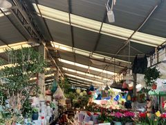 -曲阳花鸟市场(曲阳路店)
