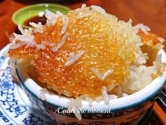 -大田塱鸽庄