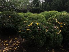 -大蜀山国家森林公园