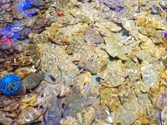 -澜悦港海鲜体验主题餐厅