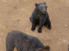-泉州海丝野生动物世界
