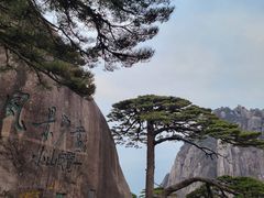 -黄山风景区