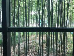 -苏州环秀晓筑养生度假村