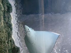 -南昌海洋公园