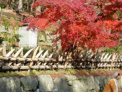 -有栖山 清光院 清水寺