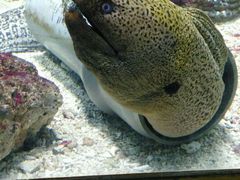 -北戴河圣蓝海洋公园