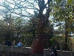 -九华山风景区月身宝殿