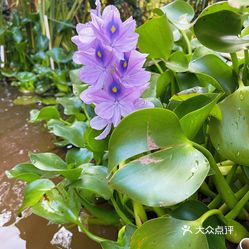 【云翠】电话,地址,价格,营业时间(图) - 西昌市美食 - 大众点评网