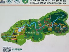 -西双版纳原始森林公园