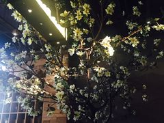 -山有花啡餐厅(常营总店)