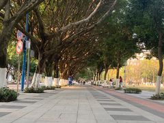 -西南政法大学(渝北校区)