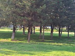 -汉长安城未央宫国家考古遗址公园