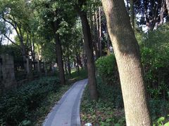 -嘉定紫藤园