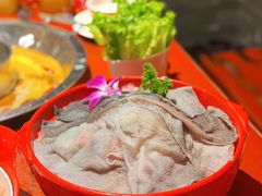 -大龙燚·旷野鲜火锅(广州首店)