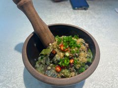 -洞庭家宴·头牌甲鱼(广渠门店)