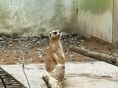 -福州动物园