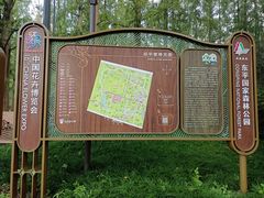 -东平国家森林公园