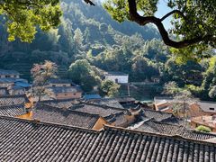-杨家堂村