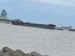 -上海滨江森林公园