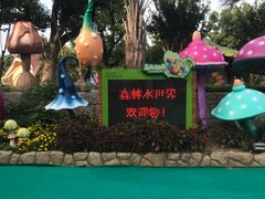 -苏州乐园森林水世界