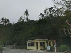 -广州白江湖森林公园