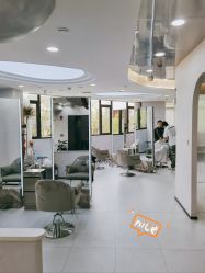 -I+造型烫发染发