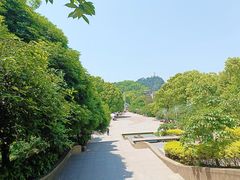 -南山植物园