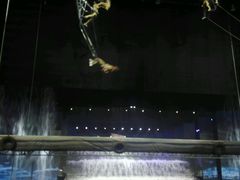 -三亚千古情景区游客中心-接待中心