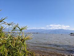 -西昌邛海湿地