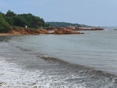 -八两八金·莱芜特色炒鸡(市南漳浦路店)