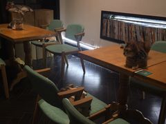 大堂-猫色咖啡·猫咖
