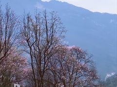 -九皇山景区