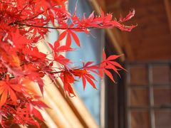 -九如山休闲旅游度假区