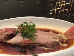 -杭州国际会议中心洲际酒店-菋道海鲜餐厅