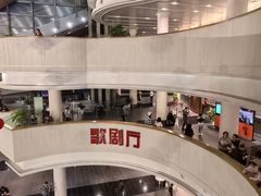 -合肥大剧院